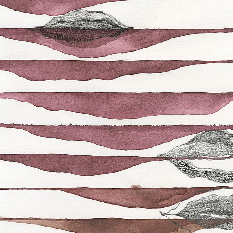 Soil & Seeds