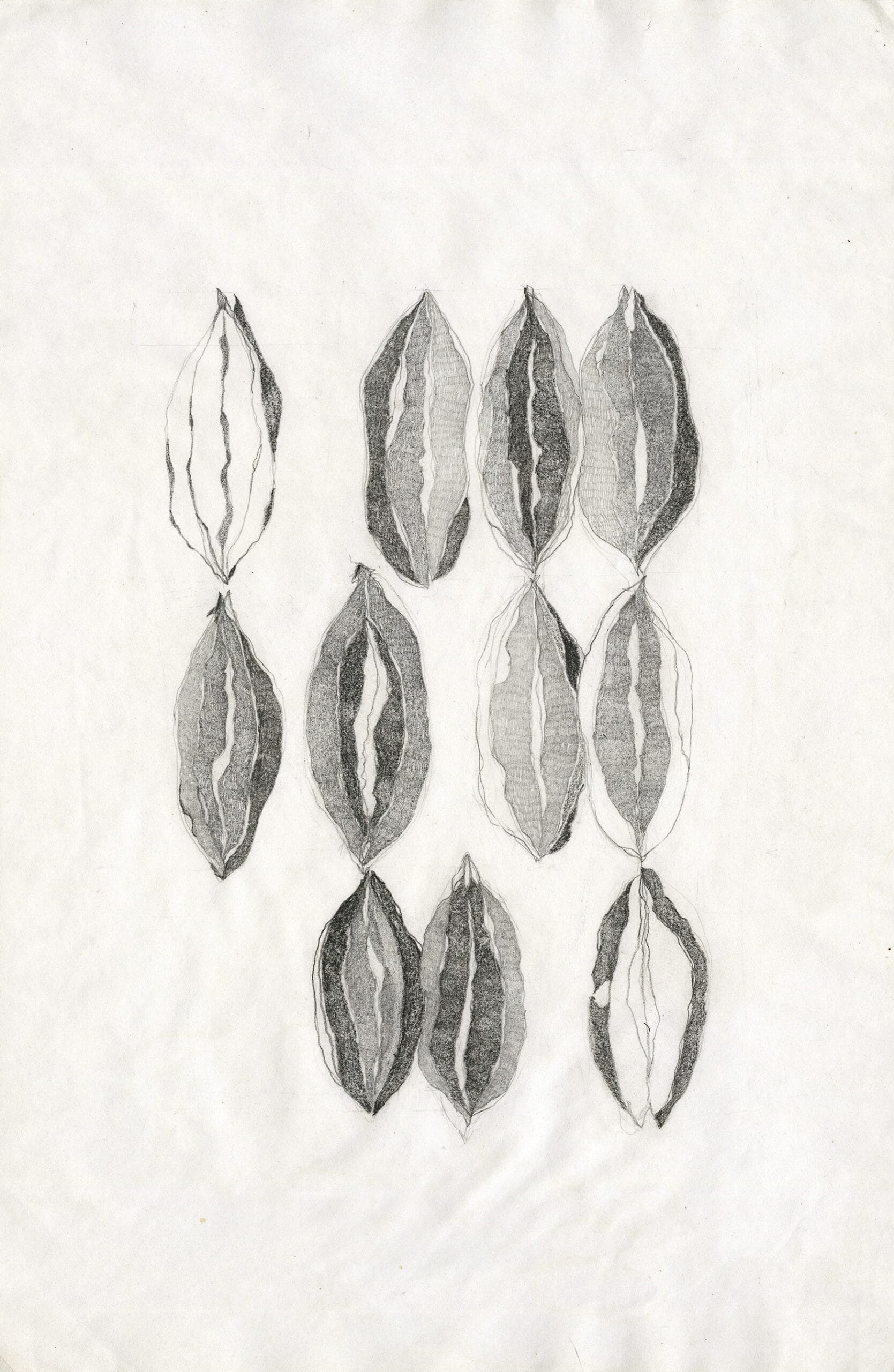 Soil & Seeds 4 Barkha 052 scaled