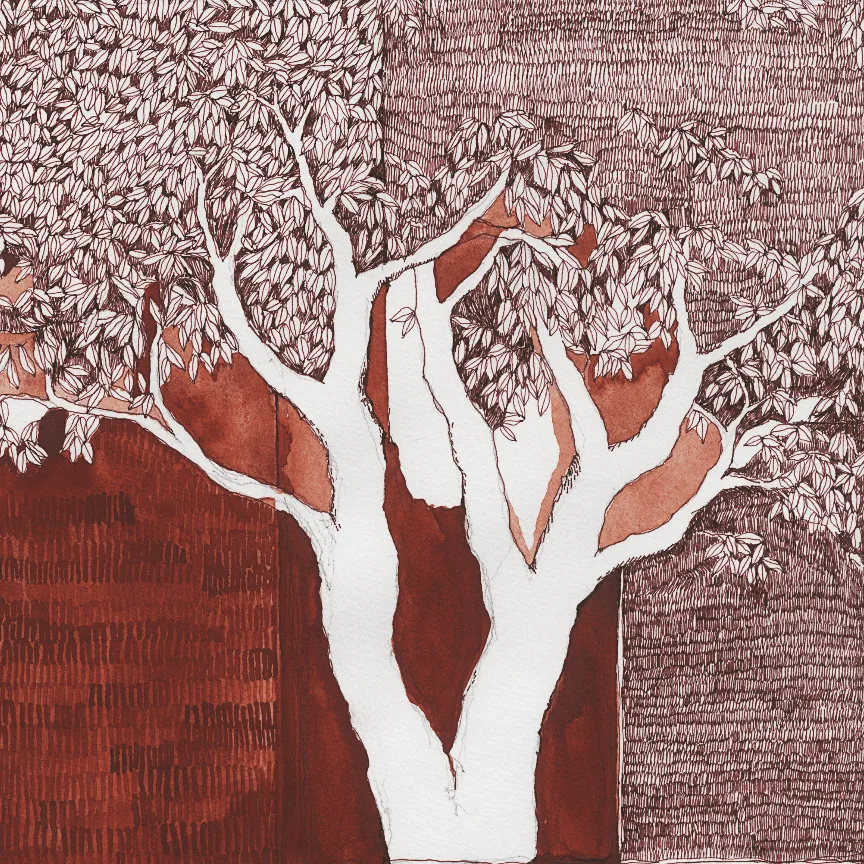 Patterns of Intensity